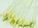   2.5  FIS F1-0005 50